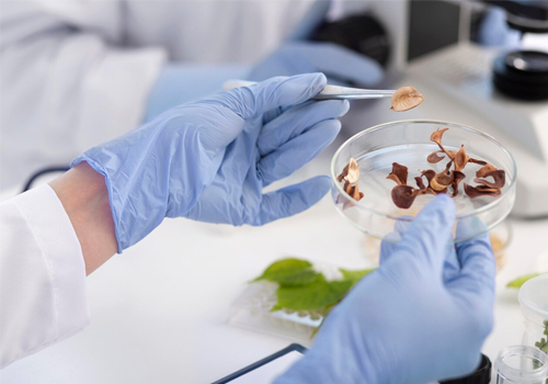 Food Testing Services Canada - PBR Laboratories