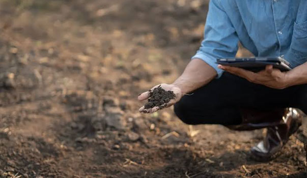 Agricultural Soil & Nutrient Testing
