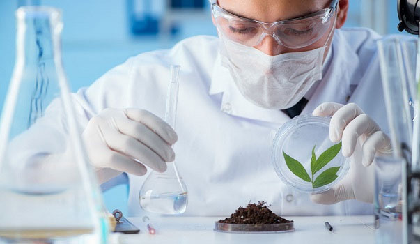 Soil Chemistry Testing
